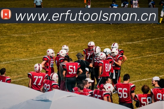 爱游戏(ayx)集团官方网站APP 封面图